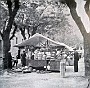 piazza Capitaniato gennaio 1933 - 3(Fabio Fusar)